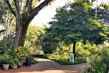 Harry P Leu Gardens