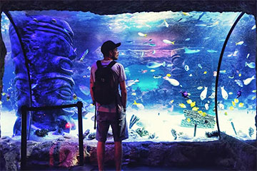 Sea Life Orlando Aquarium