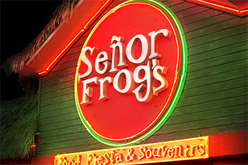 Senor Frogs